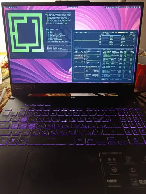 Asus tuff gaming a 15, omarchy is just good productivy OS, feels like its built for me