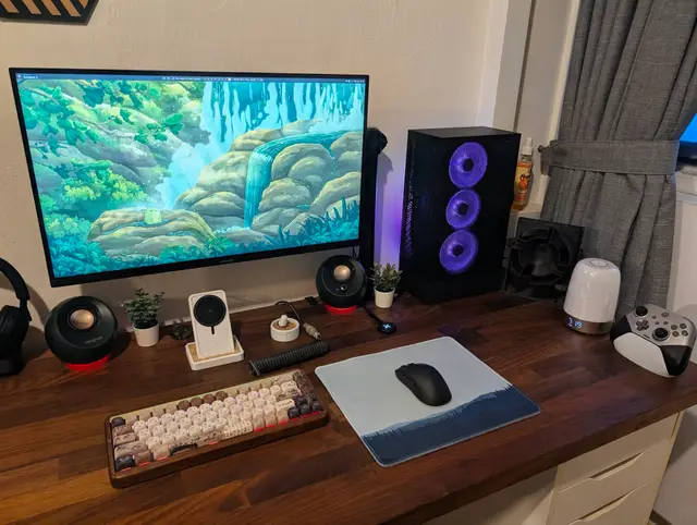 My gaming/work setup